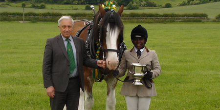 Shire Horse Team Success