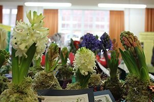 Annual Student Winter Fair