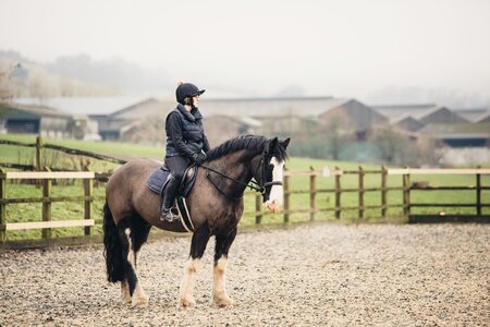 Plumpton College introduces industry leading course; 'Changing Lives Through Horses'