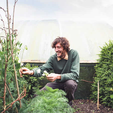 Horticulture apprenticeship talent bank Horticulture apprenticeship talent bank