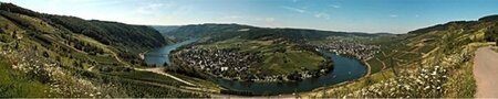 English wine students study tour, April 2013, Mosel Germany