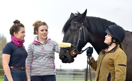 Plumpton College introduces industry leading course; 'Changing Lives Through Horses'