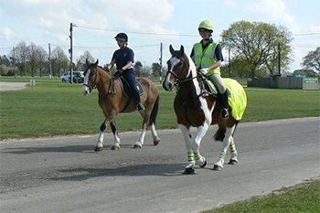 Plumpton equine students at You Horse Live (Total Confidence) over the weekend at Ardingley Show grounds