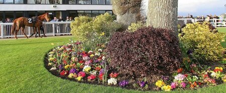 Students plant flower beds at Plumpton Racecourse