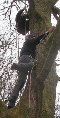 Tree Climbing and Aerial Rescue at Plumpton College